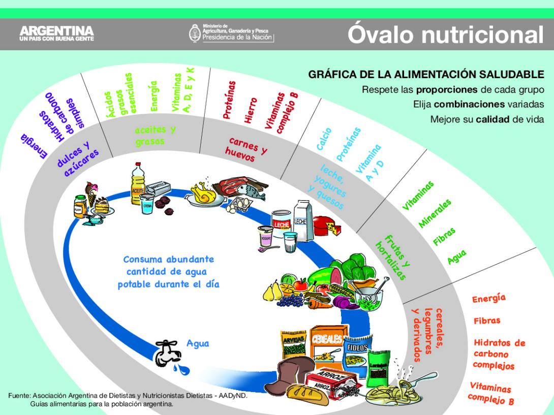 Óvalo nutricional – gráfica de alimentación saludable