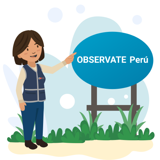 ¿Qué es el Observatorio?